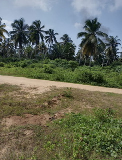 TERRAIN EN VENTE À BINGERVILLE / JACQUEVILLE