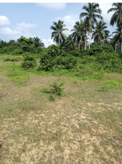 TERRAIN EN VENTE À BINGERVILLE / JACQUEVILLE