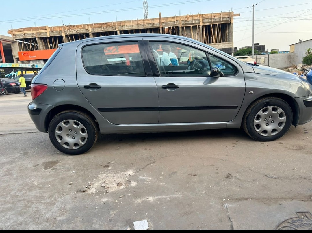 Peugeot 307 manuel Rapide