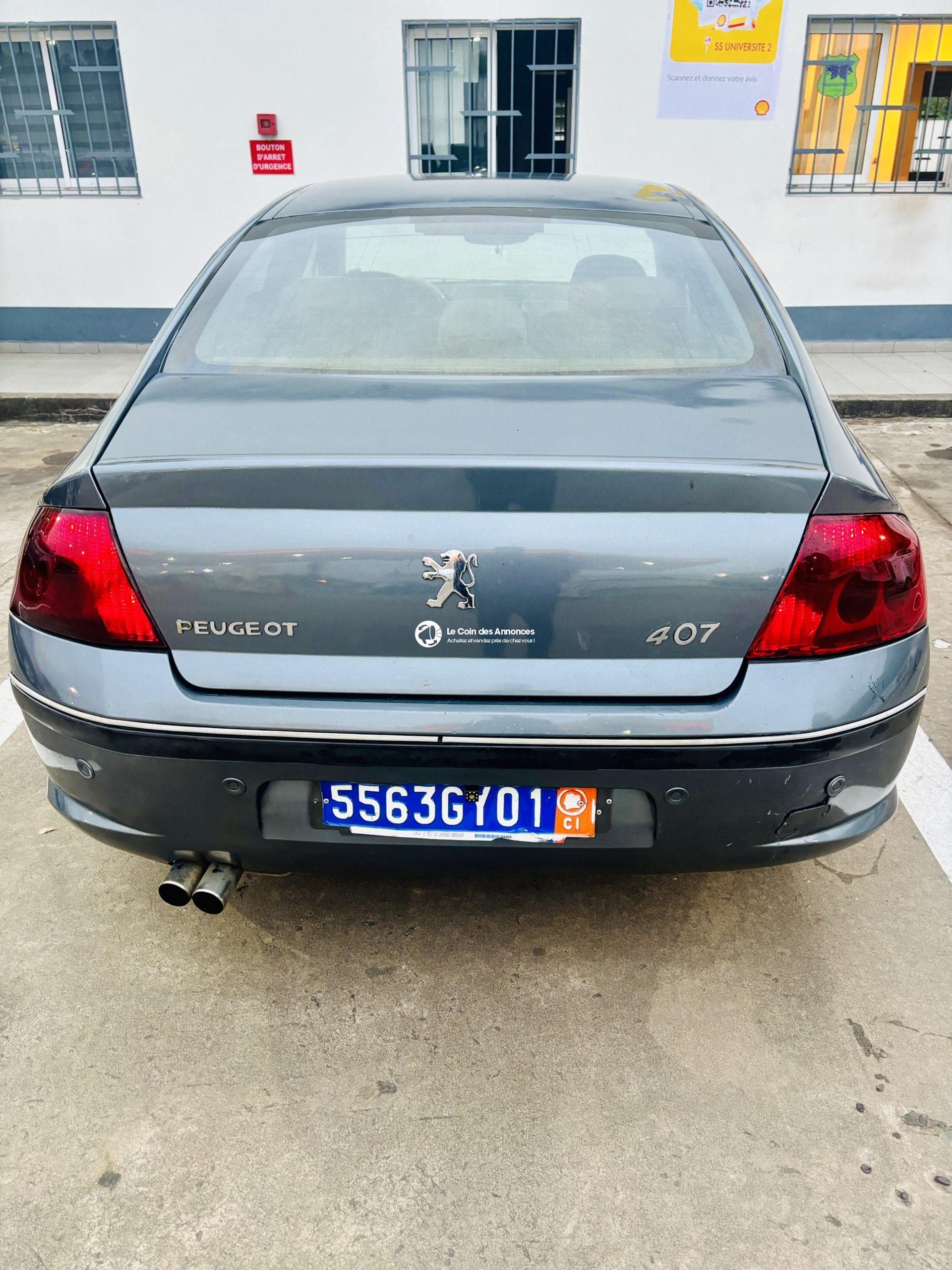 Peugeot 407 PROPRE