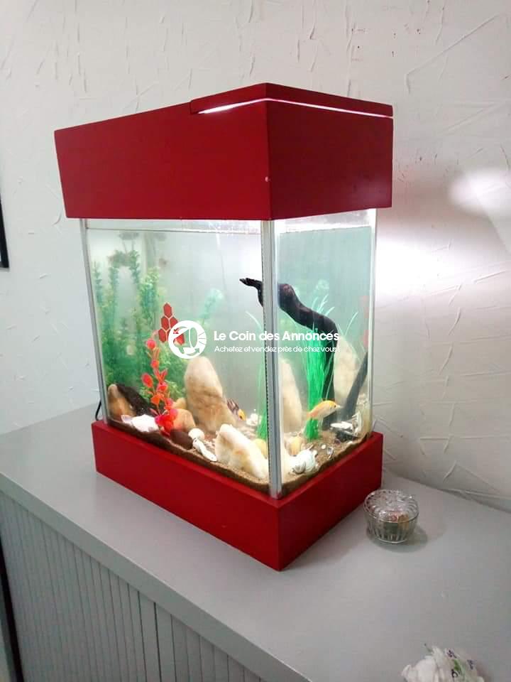 Aquarium rouge