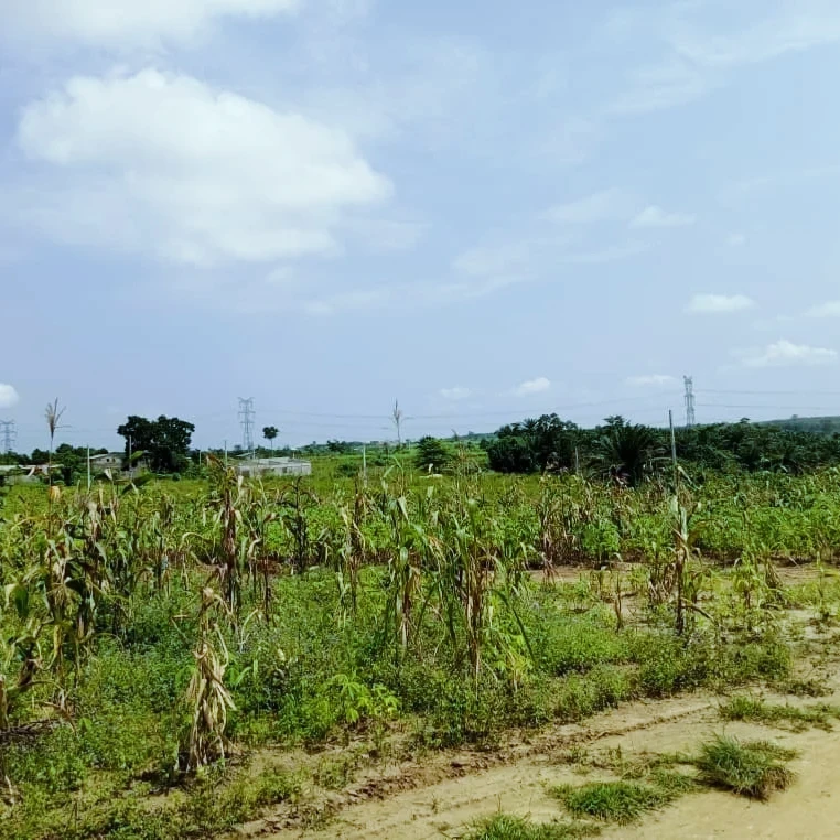 VENTE DES TERRAINS YOPOUGON SONGON AGBAN ATTIÉ 2