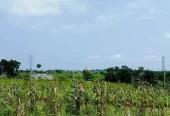 VENTE DES TERRAINS YOPOUGON SONGON AGBAN ATTIÉ 2