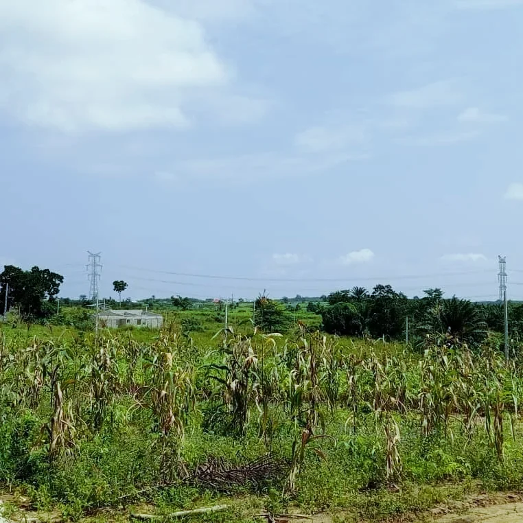 VENTE DES TERRAINS YOPOUGON SONGON AGBAN ATTIÉ 2