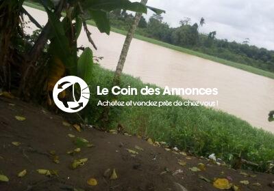 IMG_20240912_103046_1