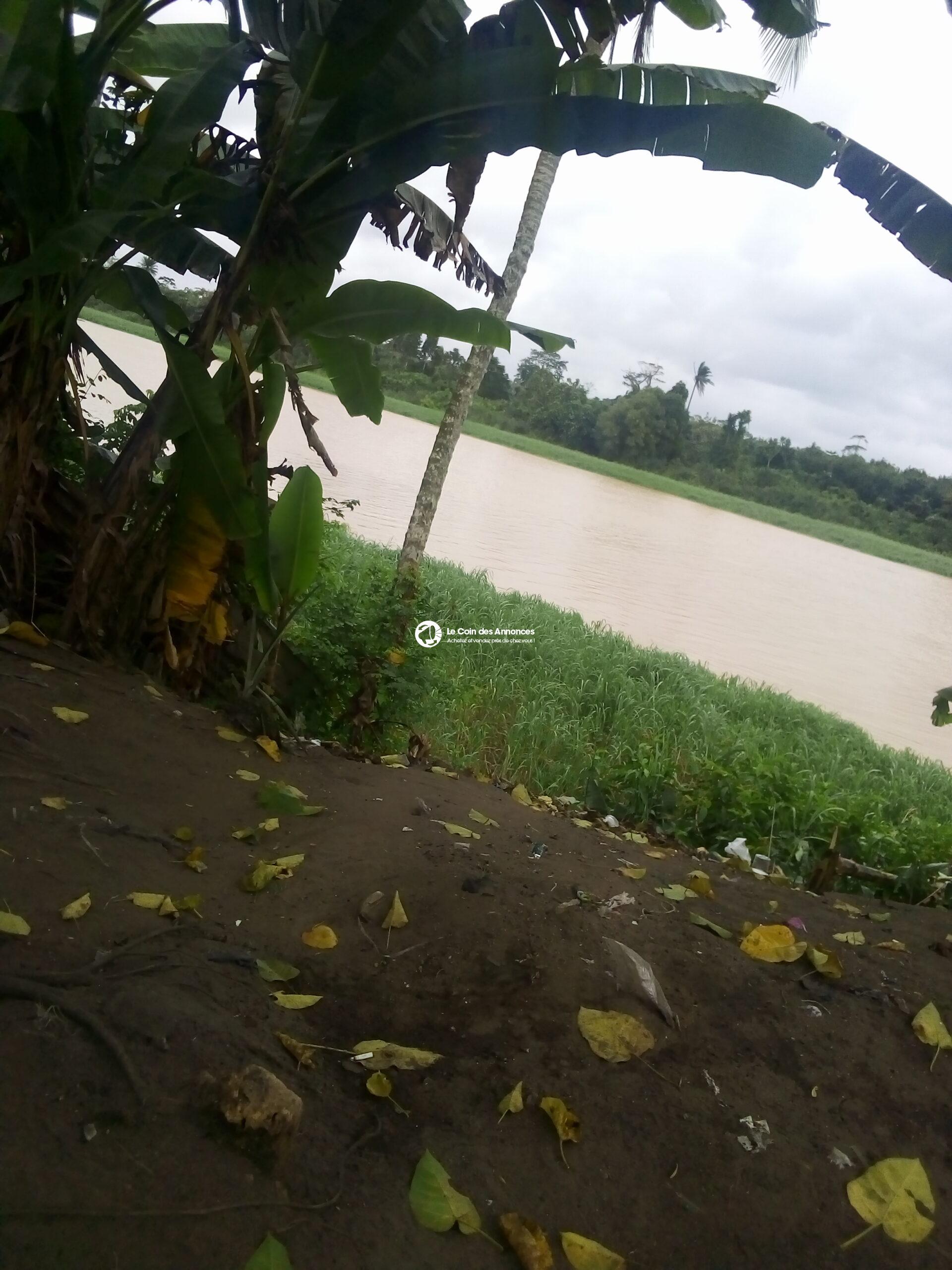 Terrains et parcelles en vente