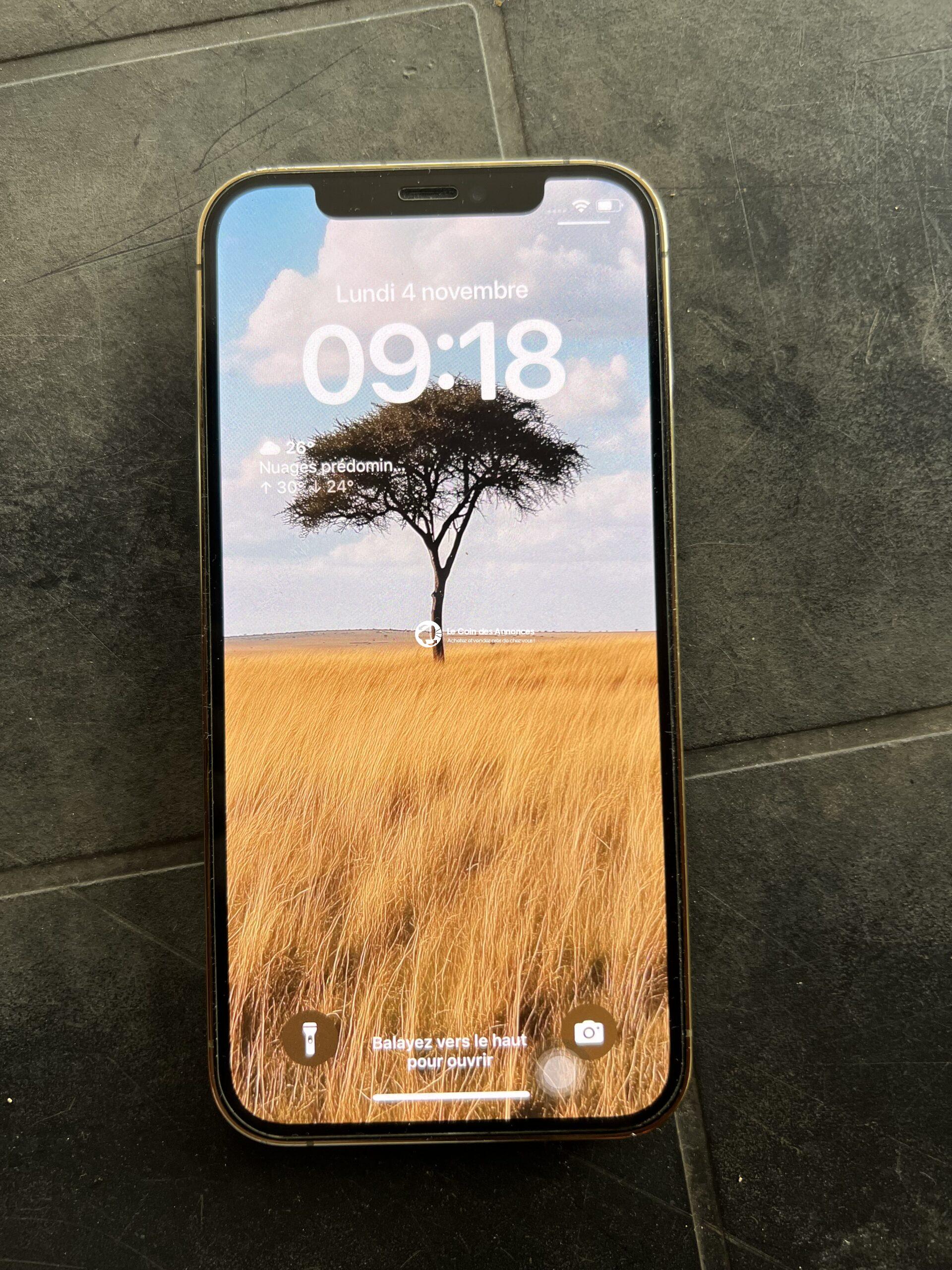 iPhone 12 Pro certifié Apple