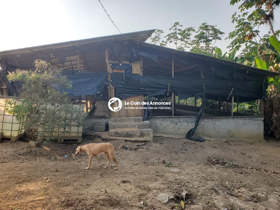 EN VENTE FERME AVICOLE CLÉ EN MAIN PRIX A DEBATTRE