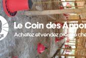 EN VENTE FERME AVICOLE CLÉ EN MAIN PRIX A DEBATTRE