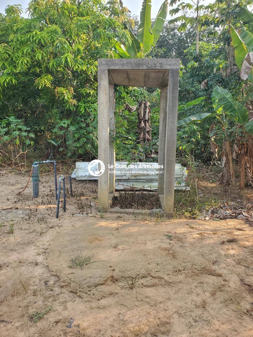 EN VENTE FERME AVICOLE CLÉ EN MAIN PRIX A DEBATTRE