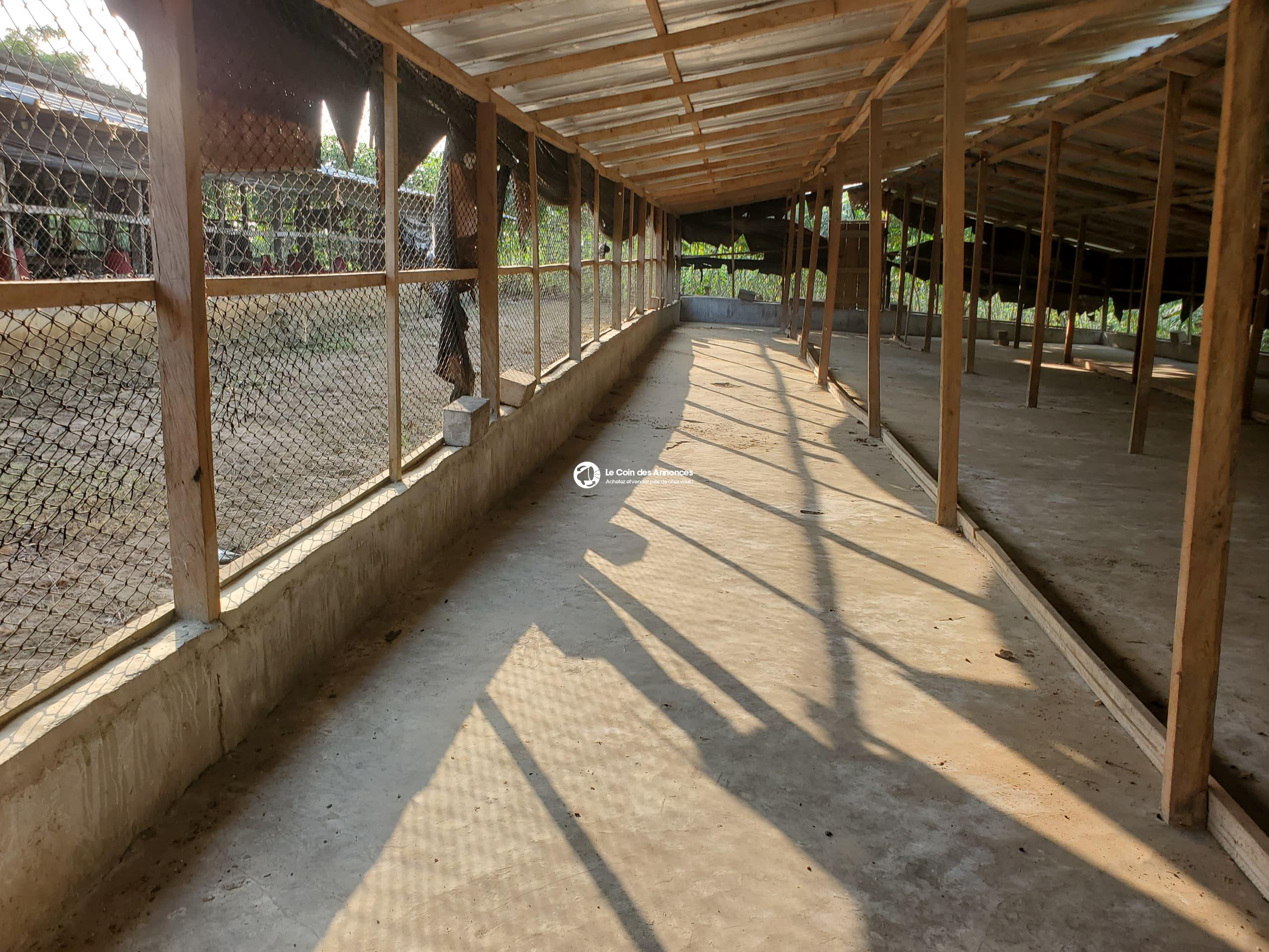EN VENTE FERME AVICOLE CLÉ EN MAIN PRIX A DEBATTRE