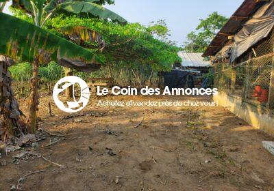 WhatsApp-Image-2025-02-16-a-22.26.43_389a301b