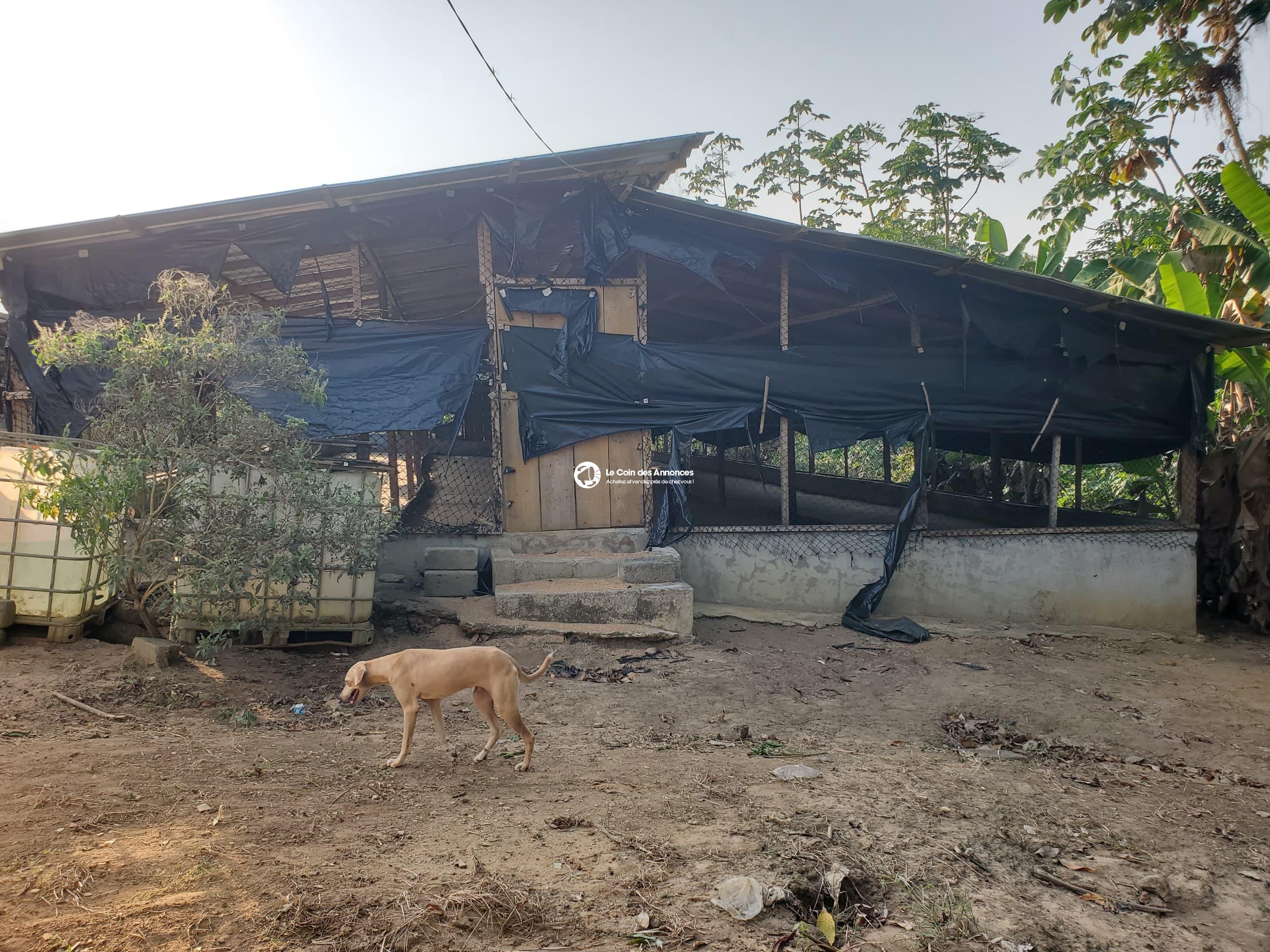 A VENDRE UNE FERME AVICOLE CLÉ EN MAIN