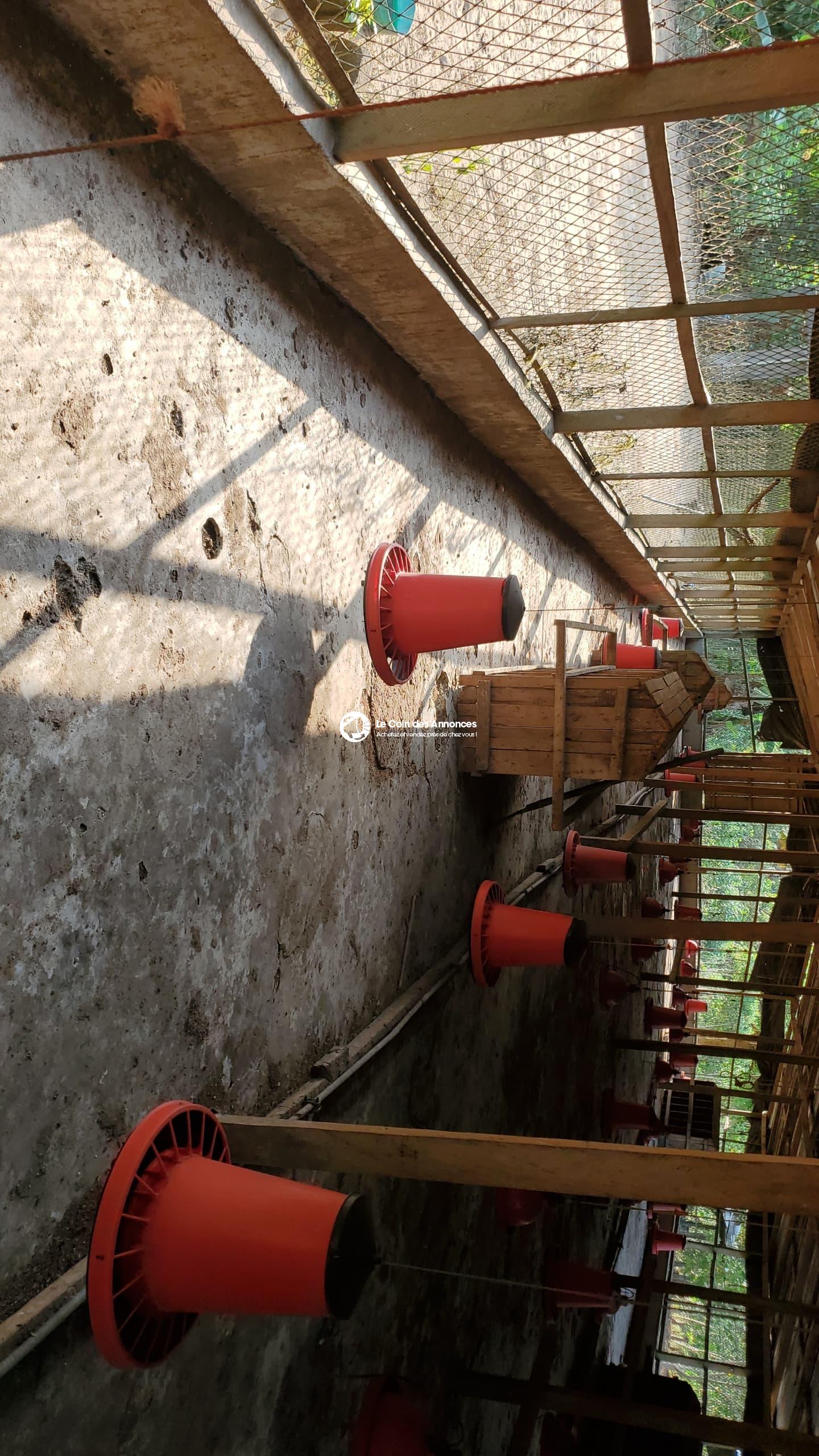 A VENDRE UNE FERME AVICOLE CLÉ EN MAIN