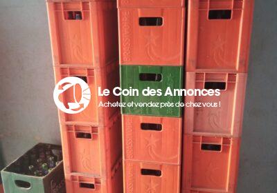 IMG_20250212_163543_834