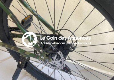 photo_1_2025-05-15_17-16-50