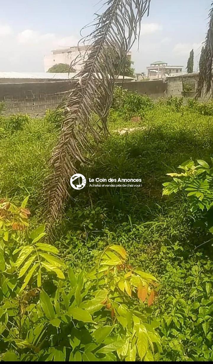 Terrain avec A.C.D en vente